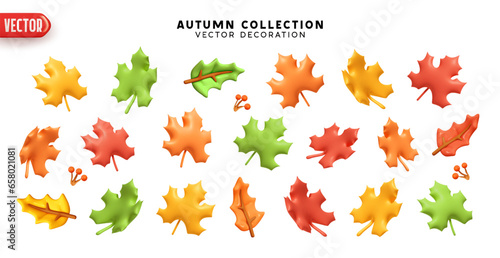 Set of autumn maple leaves on a white background. Realistic 3d cartoon plastic style. Decorative elements for seasonal compositions. Leaves colors yellow, green, red, orange. vector illustration