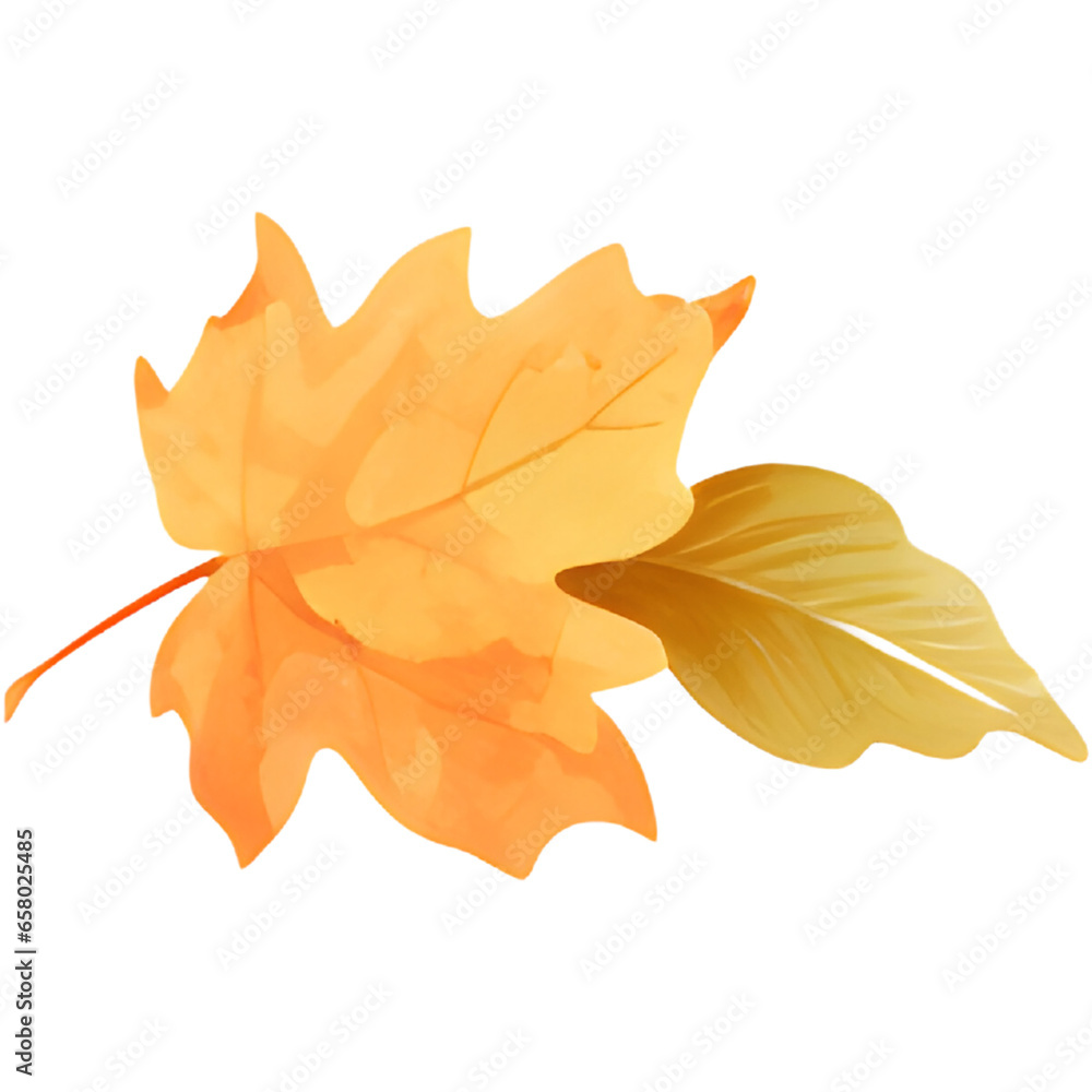 Fototapeta premium Single orange autumn leaves illustration