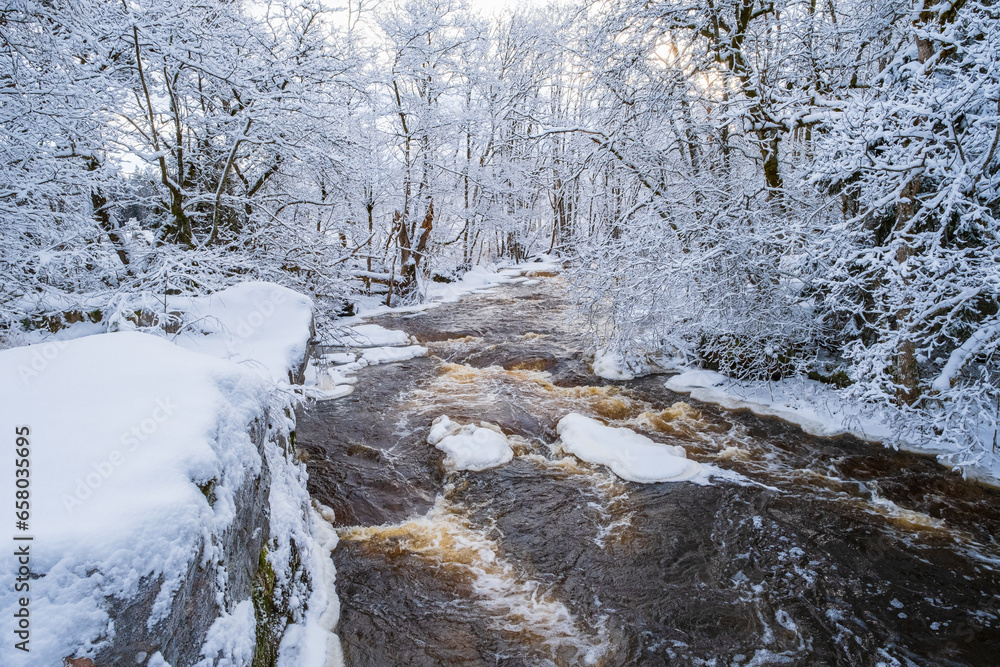 Flowing river in a wintry landscape by a forest