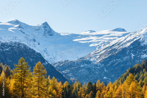 Snow capped alps and autumn colors in the forest