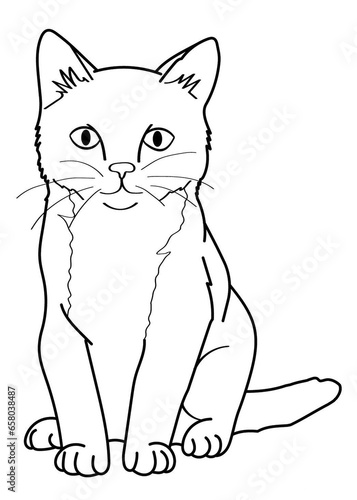 cat coloring