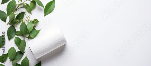 Green leafed toilet paper flat laid photo
