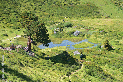 Summer in mountains near Bad Gastein, hiking paradise in Austria photo