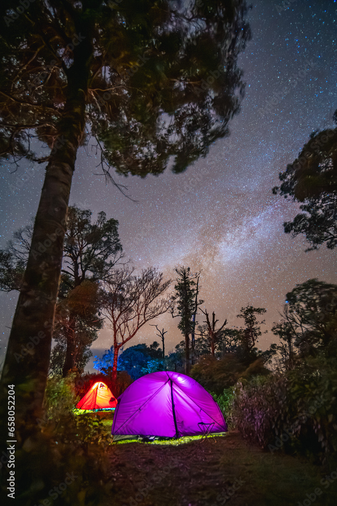 Tents and light in the jungle with star and milklway and giant tree (Tak province, Thailand)