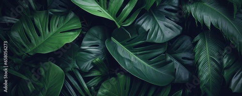 closeup tropical green leaf background. Flat lay, fresh wallpaper banner concept, Generative AI