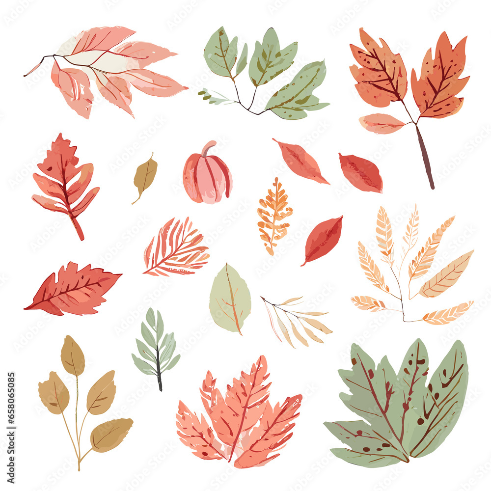 Obraz premium Autumn leaves clip arts isolated on a background