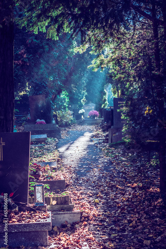 scenic cemetery in foggy sunny day with mysterious atmosphere