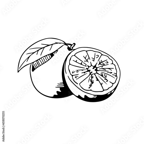 Black and white orange fruit drawing
