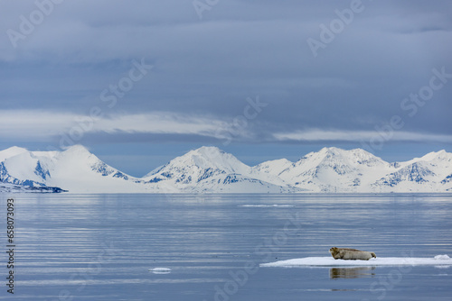 Svalbard