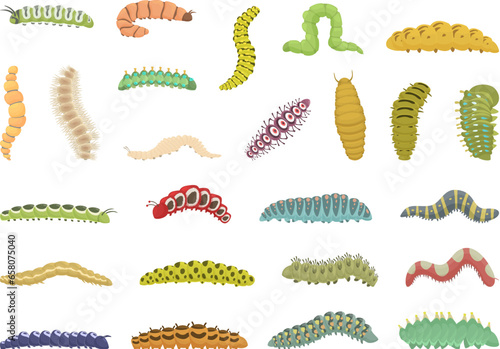 Caterpillar icons set cartoon vector. Nature insect. Larva summer