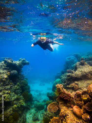 Dive into the enchanting underwater world of the Great Barrier Reef, where vibrant marine life thrives amidst crystal-clear waters, a paradise for underwater photographers and ocean enthusiasts.