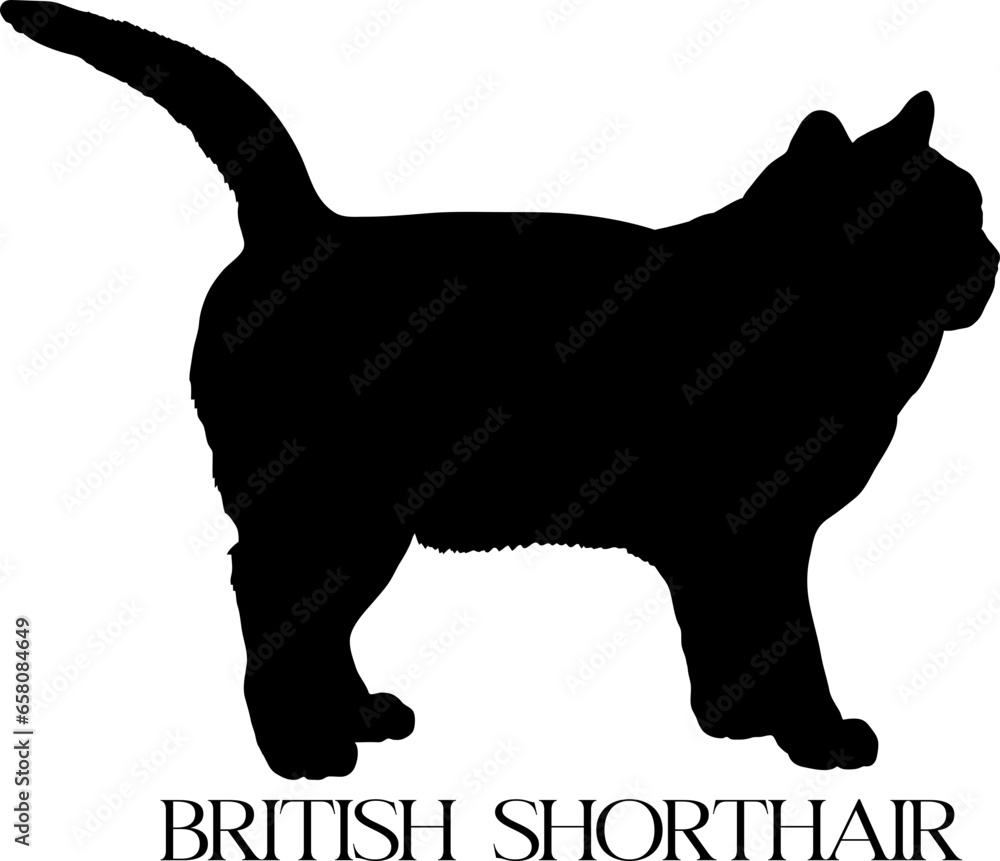 British Shorthair. bundle cat, cat breeds, cat silhouette, monogram cat
