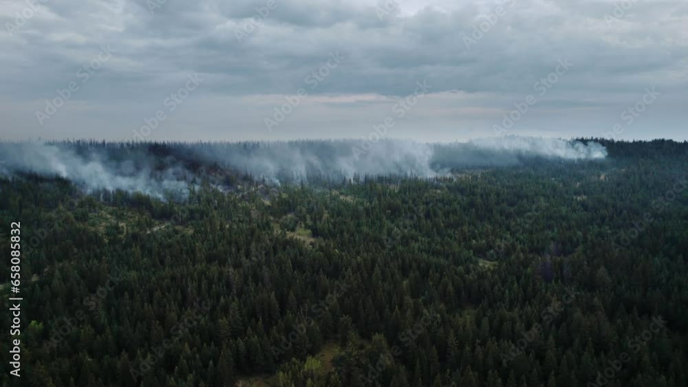 Forest Fire. Flames And Smoke Clouds. Aerial Drone. Forest Fire. Flames And Smoke Clouds. Aerial Drone.