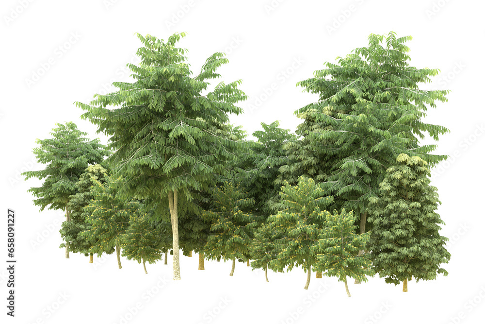 Fototapeta premium Realistic forest isolated on transparent background. 3d rendering - illustration