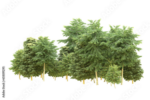 Realistic forest isolated on transparent background. 3d rendering - illustration