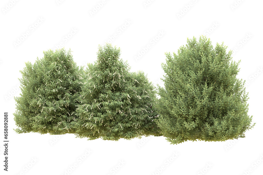Fototapeta premium Realistic forest isolated on transparent background. 3d rendering - illustration