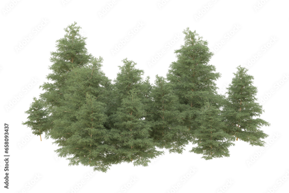 Fototapeta premium Realistic forest isolated on transparent background. 3d rendering - illustration