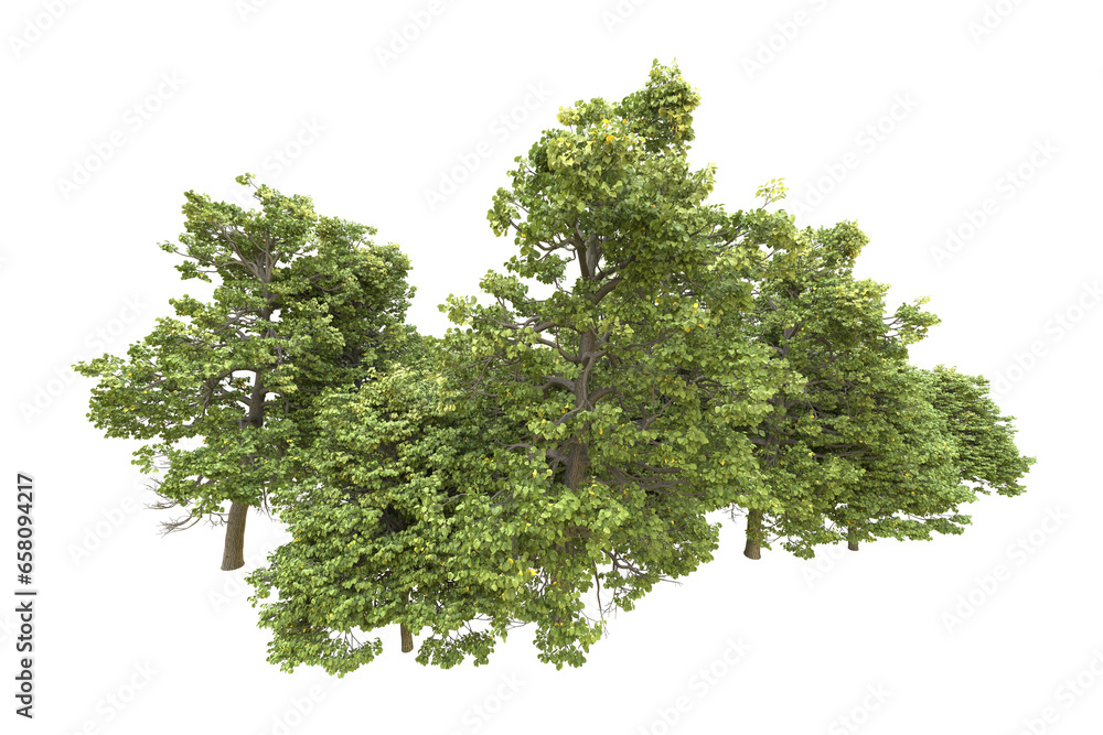 Realistic forest isolated on transparent background. 3d rendering - illustration Realistic forest isolated on transparent background. 3d rendering - illustration