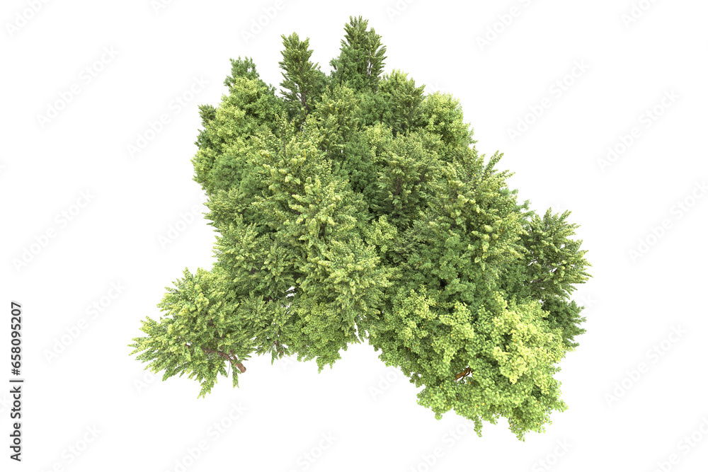 Fototapeta premium Realistic forest isolated on transparent background. 3d rendering - illustration