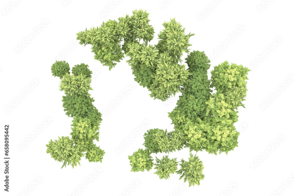 Realistic forest isolated on transparent background. 3d rendering - illustration Realistic forest isolated on transparent background. 3d rendering - illustration