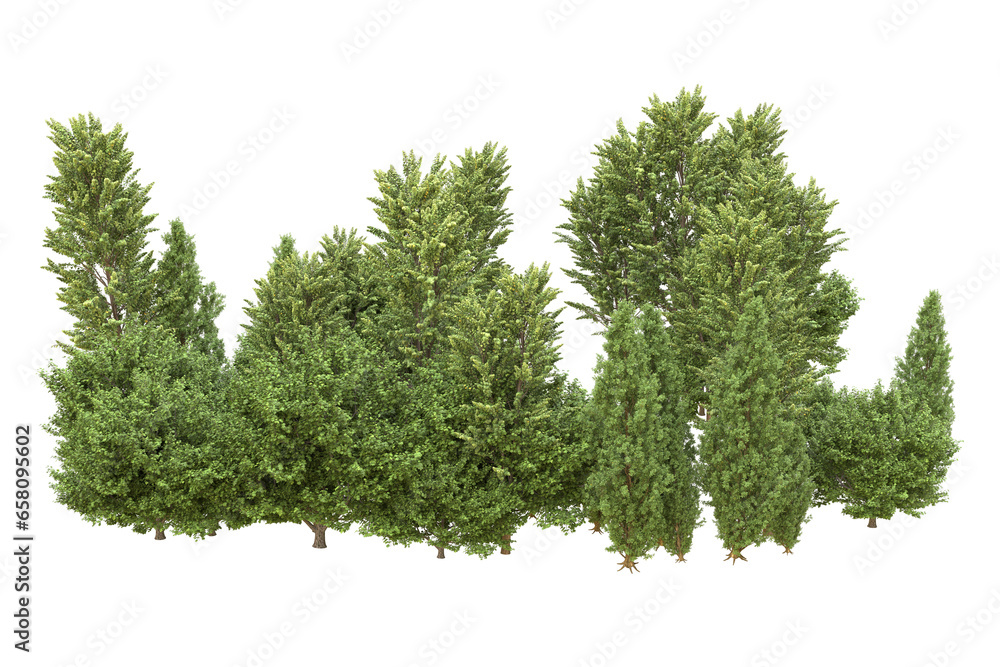 Fototapeta premium Realistic forest isolated on transparent background. 3d rendering - illustration