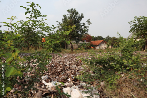 Dried coconut trash near residential areas