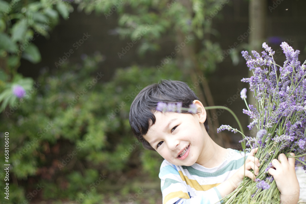 portrait of a little boy with flowers. Child holding a bunch bouquet lavenders. Child smiling face happy after cut lavender flowers. copy space. portrait of a little boy with flowers. Child holding a bunch bouquet lavenders. Child smiling face happy after cut lavender flowers. copy space.