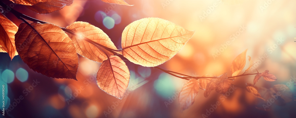 Beautifulм autumn leaves background. Banner. Beautifulм autumn leaves background. Banner.