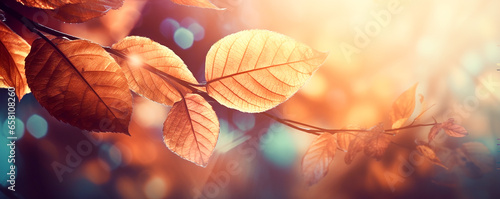  Beautifulм autumn leaves background. Banner.