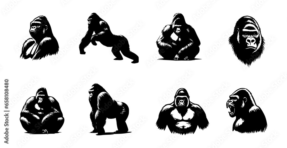 set of gorilla silhouettes on isolated background - obrazy, fototapety, plakaty 