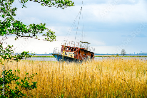 Old shipwreck near Lubczyna in Poland. Landscape with an abandoned capsized boat. Nature at Dabie Lake. photo