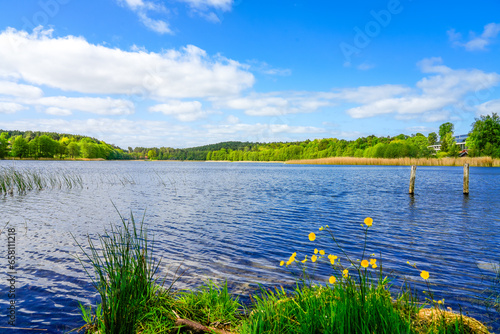 View of Lake Wiselka, Neuendorfer See. Landscape on the island of Wolin. Nature in West Pomerania.
 photo