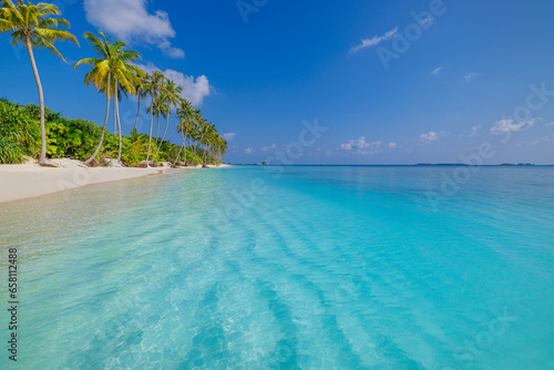 Amazing sunny panorama at Maldives. Luxury resort seascape. Majestic sea waves coconut palm trees sand sunshine sky. Beauty paradise beach popular destination. Best summer vacation travel background © icemanphotos