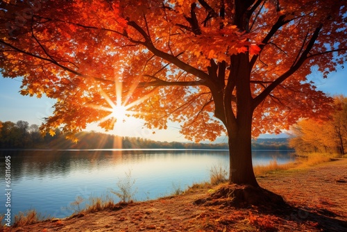 Autumn's Splendor: Picturesque Landscape with Sun, Blue Sky, and Vibrant Red and Orange Trees © pierre