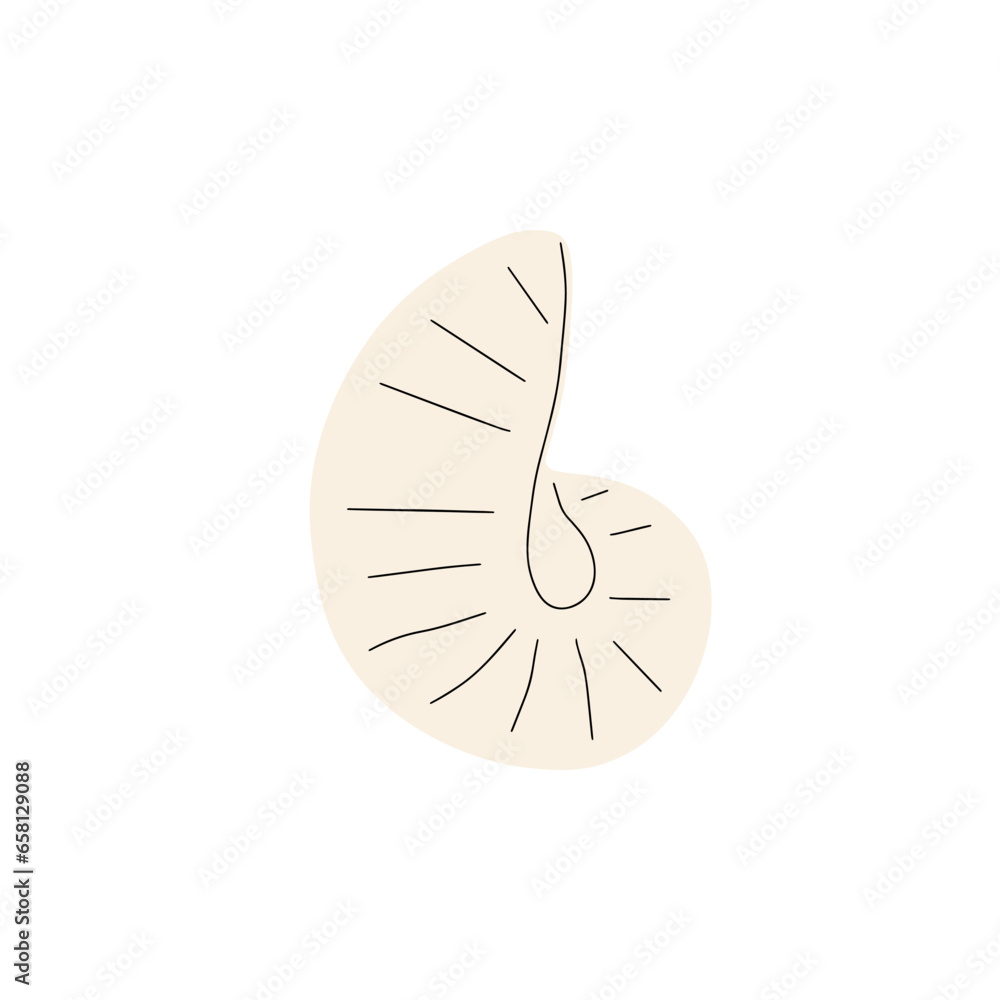 Tropical underwater seashell. Hand drawn sea mollusk shellfish element. Vector illustration in scandinavian style.