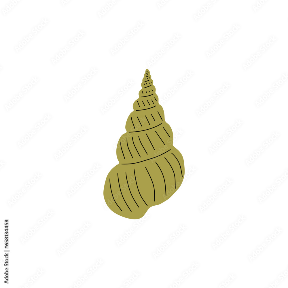 Tropical underwater seashell. Hand drawn sea mollusk shellfish element. Vector illustration in scandinavian style. Tropical underwater seashell. Hand drawn sea mollusk shellfish element. Vector illustration in scandinavian style.