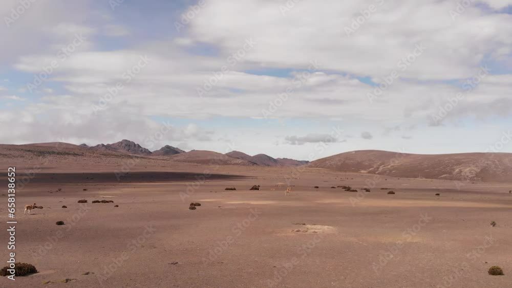 Sand flying over the dunes of the Chimborazo desert in Ecuador, llamas appear in the scene Sand flying over the dunes of the Chimborazo desert in Ecuador, llamas appear in the scene
