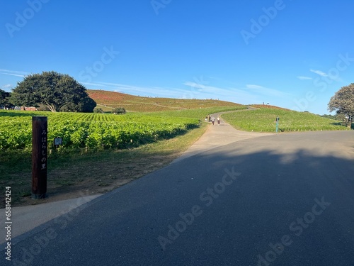 road in the countryside