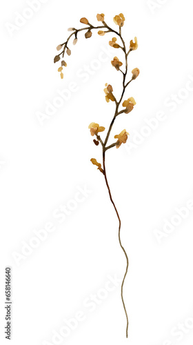 Watercolor brown and yellow wildflowers isolated illustration, floral wedding and greeting element