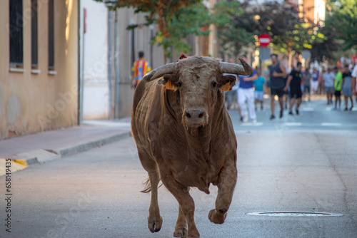 Bous al carrer street bull, ancestral tradition in Valencia Spain villages. A brave bull runs through the streets while the mozos are running. Runners in Encierro like San Fermin. Albuixech holidays. photo