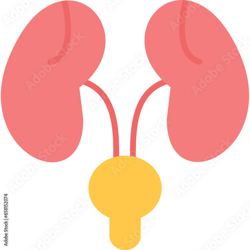 Bladder Icon
