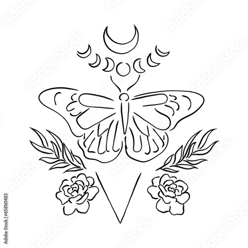 butterfly design. Hand drawn line art vector of moth and moon phases.