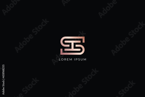 sh letter modern line style abstract style design creative golden wordmark design typography illustration, si wordmark,sh logo