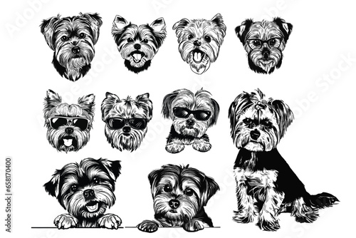 Morkie Cuties: A Bundle of Vector Art Featuring Morkie Dogs in Various Poses