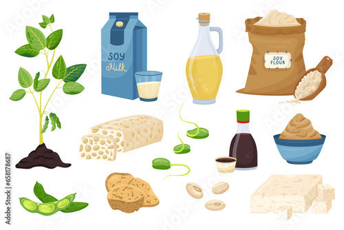Soy Products Set