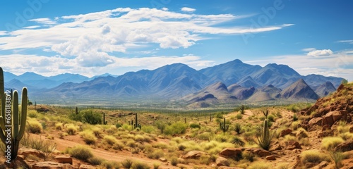 Desert landscape with cacti background. Generative AI