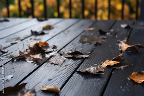 Decked in Autumn Splendor: Falling Leaves