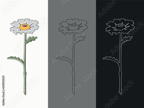 Three variants of chamomile in the linart style, with a black outline and colored spots, just with a dark outline and with a white outline on a black background