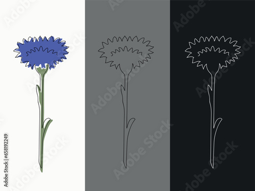 Three variants of the cornflower in the style of linart, with a black outline and colored spots, just with a dark outline and with a white outline on a black background