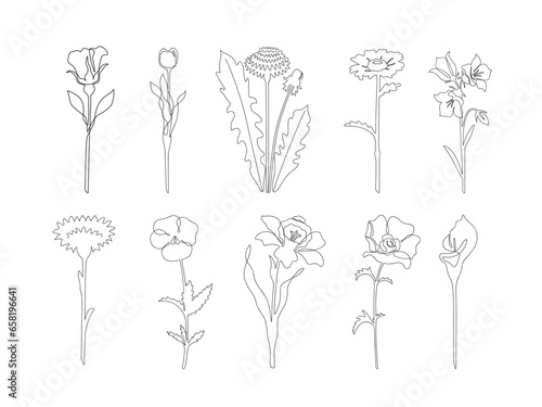 A set in which a rose, a tulip, a dandelion, a calla lily, a chamomile, a bell, a cornflower, a violet, a narcissus, a poppy with a black outline without abstract spots are drawn in the style of a lin